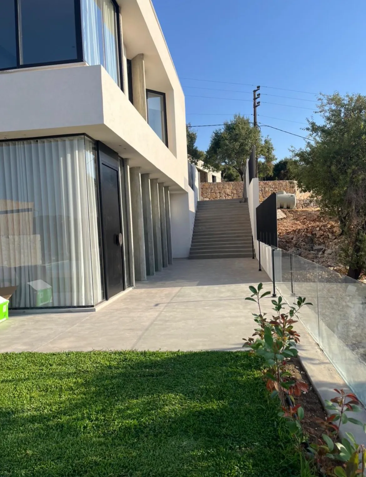 Olive — photo 3