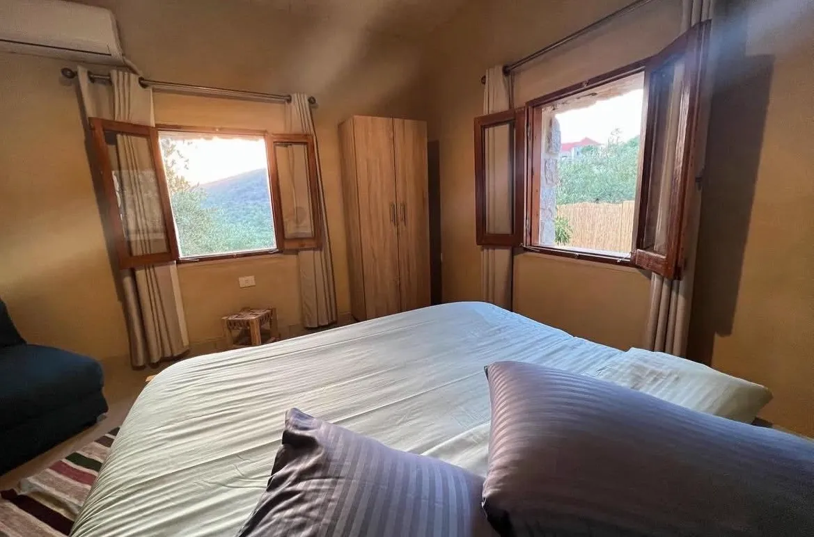 Freya — photo 6