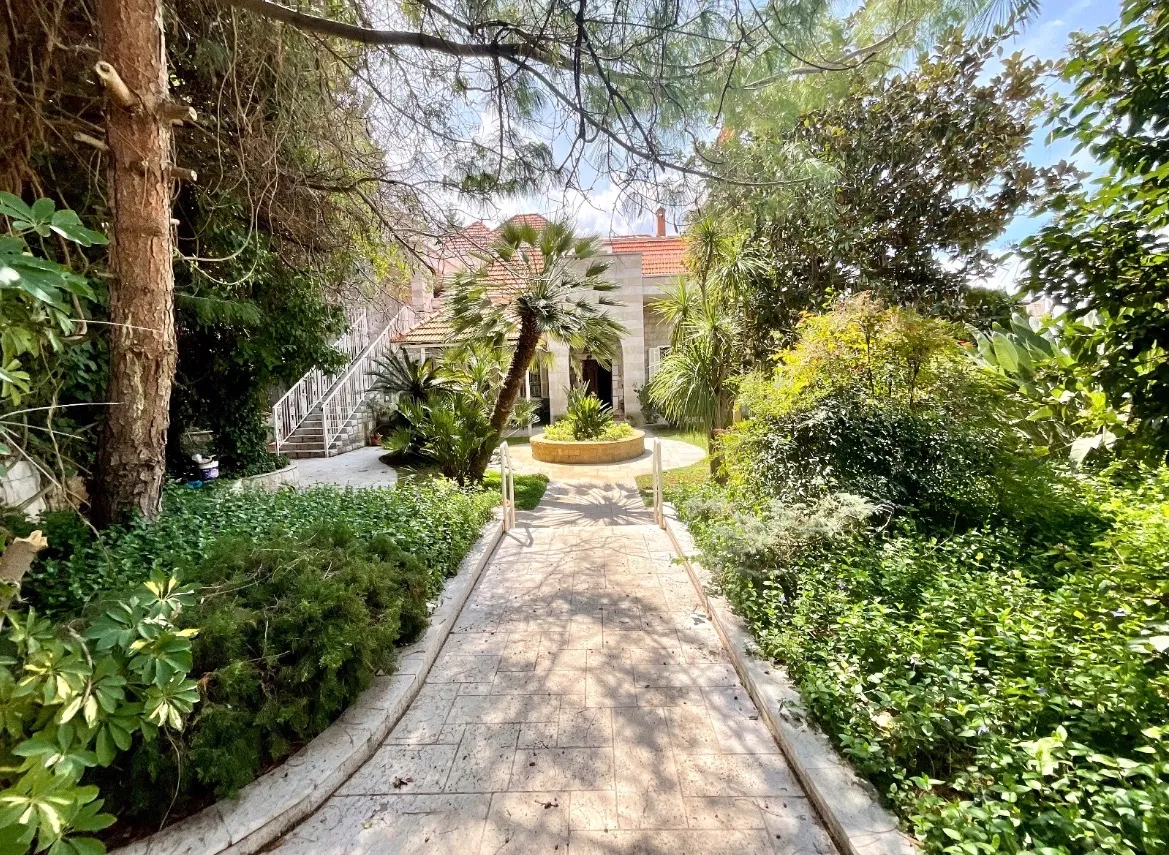 Harissa Stay — photo 4