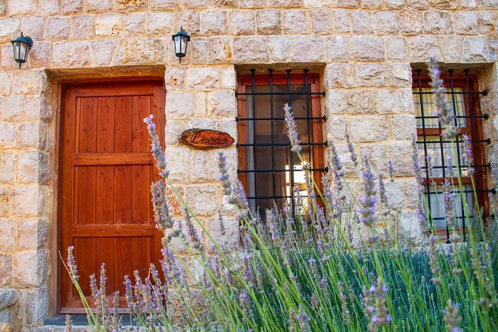 Lavender - photo 8