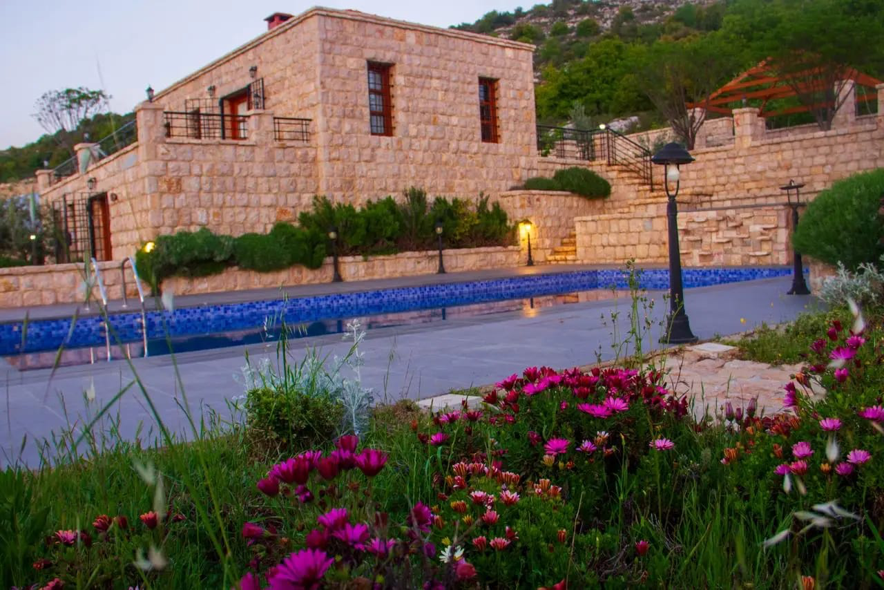 Lavender - photo 9