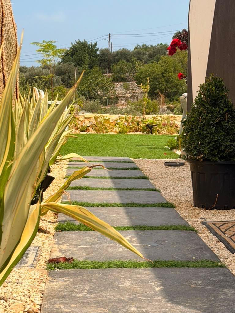 Casa del Rosa - photo 3