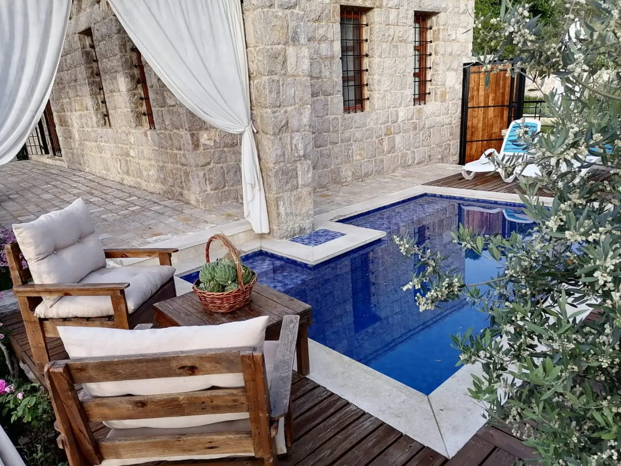 Jasmin Chouf - photo 2