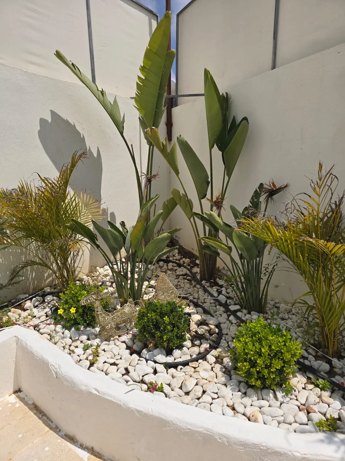 White guesthouse — photo 4