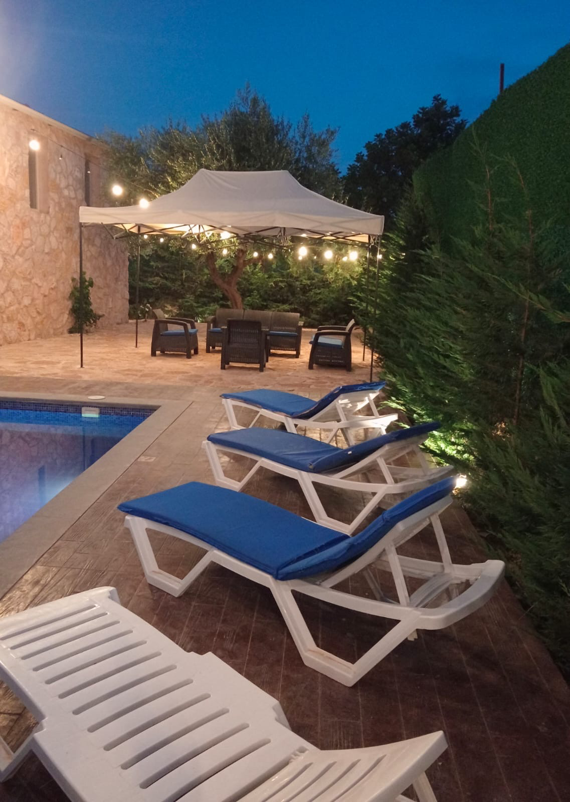 Azure Chouf — photo 2
