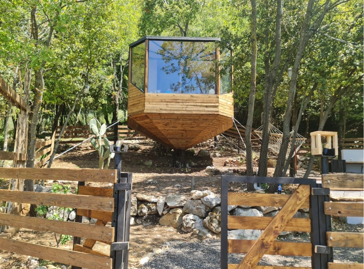 Monkey mansion — photo 2