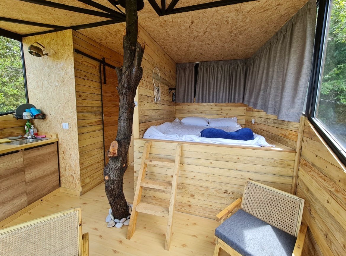 Monkey mansion — photo 5