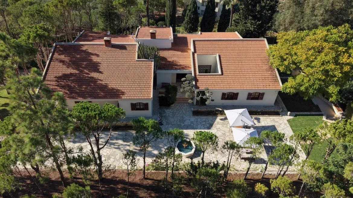 La colline — photo 2