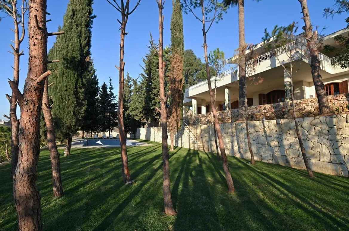 La colline — photo 5